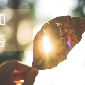 chinese性盛旺55熟女
